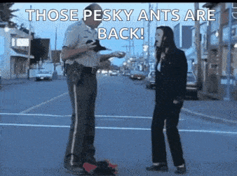 a police officer is talking to a woman on a street with the caption those pesky ants are back !