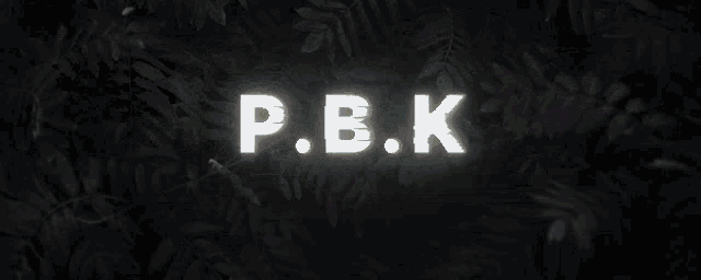 p.b.k.p.b.k. is written on a black background