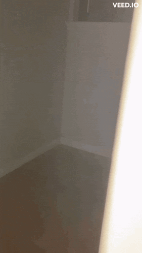 a screenshot of a video with the words bitches on it