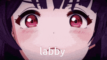 a close up of a girl 's face with the word labby written below her