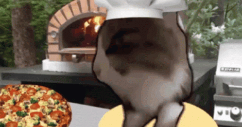 Cat Pizza GIF - Cat Pizza Chef GIFs