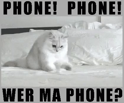 Phone Phone Wer Ma Phone GIF - Lost Phone Phone Wheres My Phone GIFs