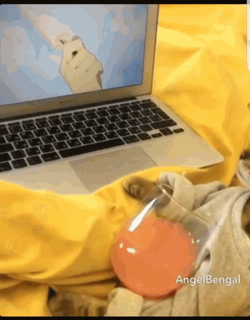 Cat What GIF - Cat What Watching GIFs