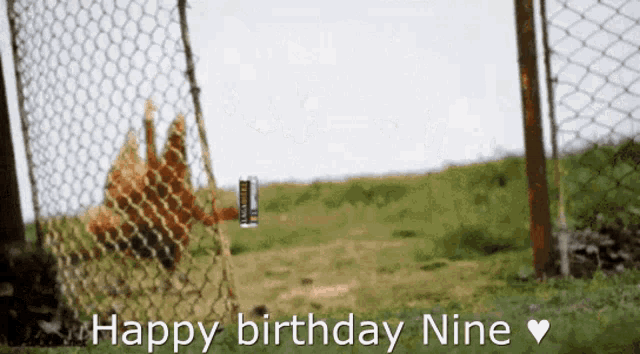 a picture of a fence with the words " happy birthday nine " on it