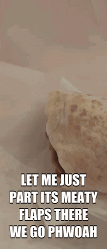 a close up of a person holding a sandwich with a caption that says let me just part its meaty flaps
