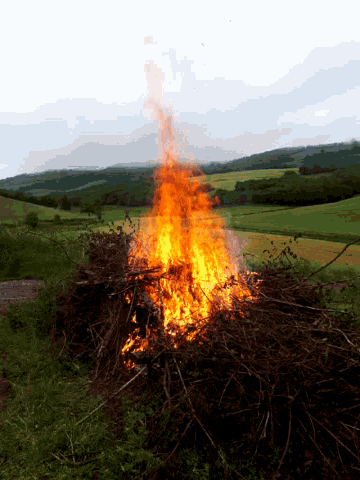 a pile of branches is burning in a field with mountains in the background