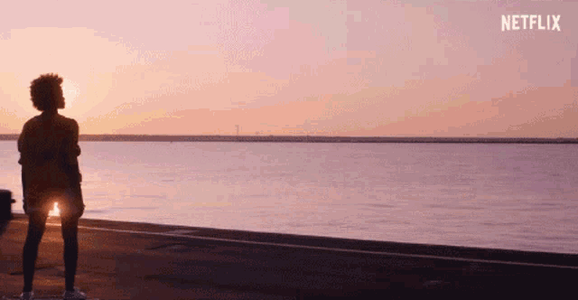 a person standing on a beach with a sunset in the background and the word netflix at the bottom
