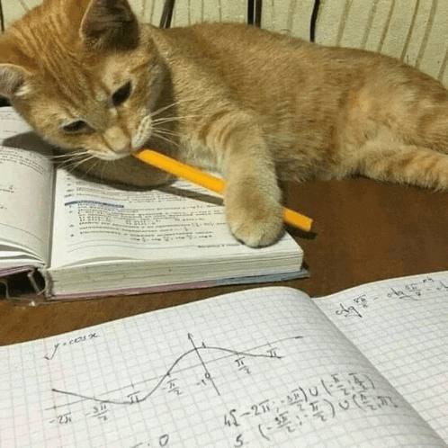 a cat with a pencil in its mouth is laying on a table with a book and a graph on it