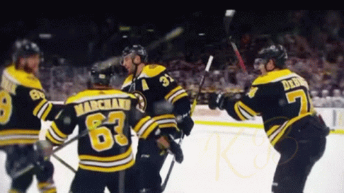 Bruins Boston GIF - Bruins Boston Hockey GIFs