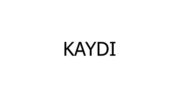 a black and white logo for a company called haydi on a white background .
