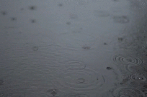 Rain Raining GIF - Rain Raining Rain Drops GIFs