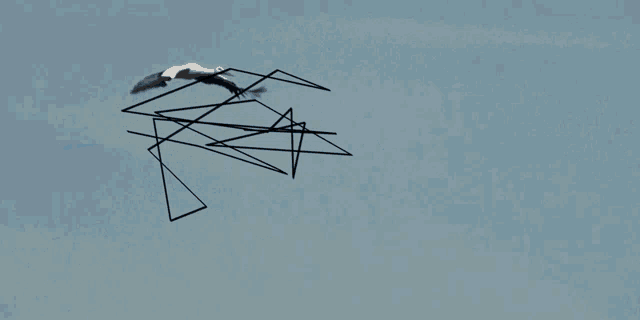 a drawing of a bird flying in the sky with a blue background