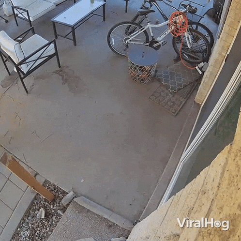 a video of a patio with a bicycle and the words viralhog on the bottom