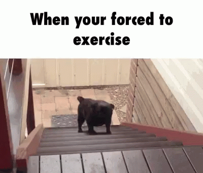 When Youre Forced To Exercise GIF - When Youre Forced To Exercise Your GIFs