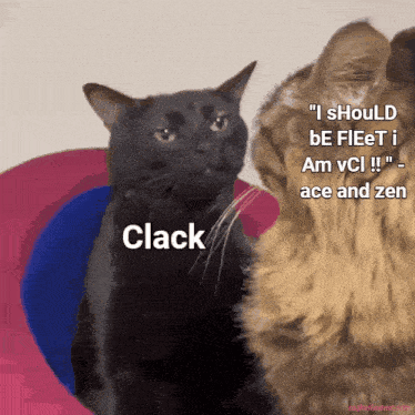 two cats are sitting next to each other and one of them says " clack "