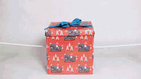 a red box with a pattern of cats on it is sitting on a white surface .