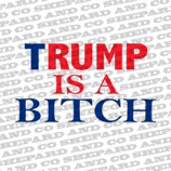 a sign that says trump is a bitch