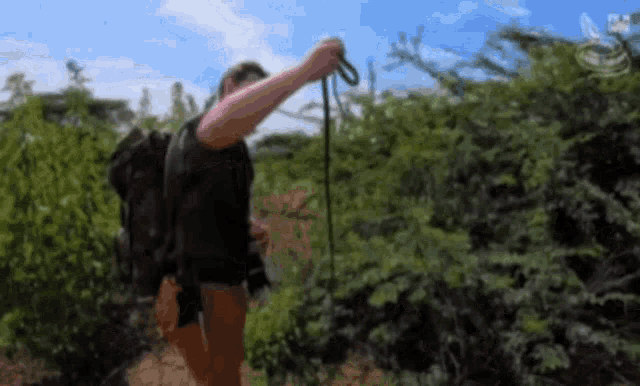 Living Zoology Herping GIF - Living Zoology Herping Wish Them Luck GIFs
