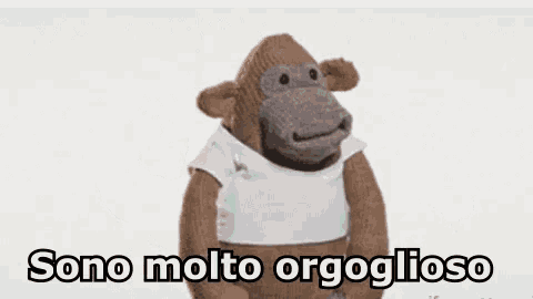 a stuffed monkey wearing a white shirt is standing in front of a white background and says sono molto orgolioso .