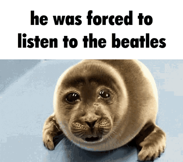 He Was Forced Seal GIF - He Was Forced Seal The Beatles GIFs