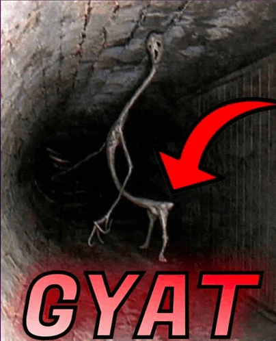 a poster with a skeleton and the word gyat