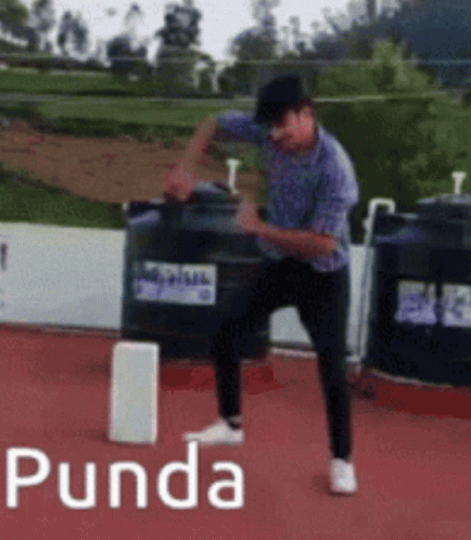 Punda Dancing GIF - Punda Dancing GIFs