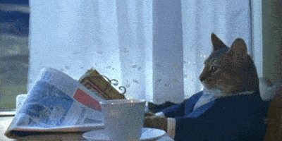 a cat in a suit sits at a table reading a newspaper and drinking a cup of coffee