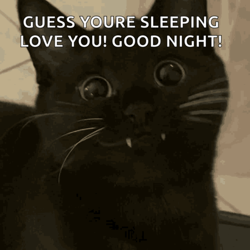 Black Cat Fangs GIF - Black Cat Fangs Smile GIFs