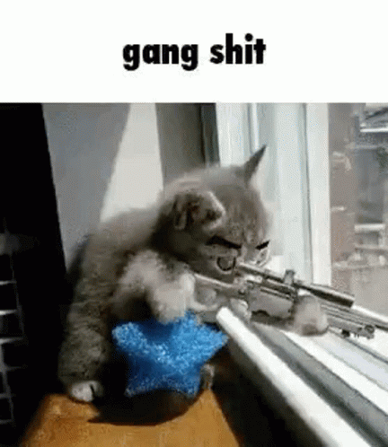 Gang Shit GIF - Gang Shit Gangster GIFs