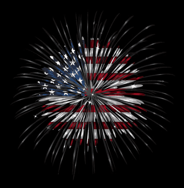a fireworks display with an american flag in the center