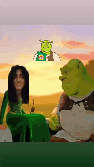 Shreki Da Fiona Leqso GIF - Shreki Da Fiona Leqso GIFs
