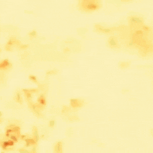 a person is flying through the air in front of a fire .