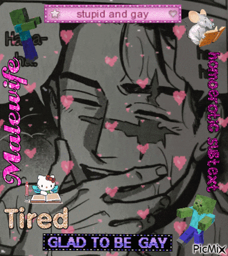 a picture of a man with the words stupid and gay written on it