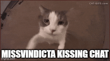 a cat is peeking out of a box with the words missvindicta kissing chat below it