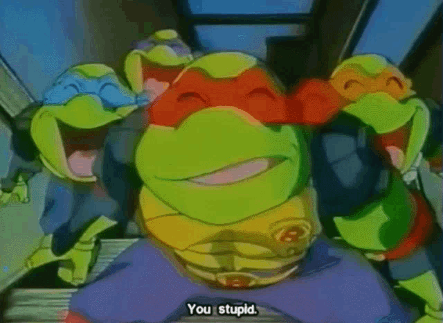 a group of teenage mutant ninja turtles are laughing and one of them is saying you stupid