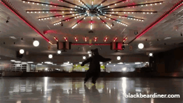 Skate Blackbeardiner GIF - Skate Blackbeardiner Bear GIFs