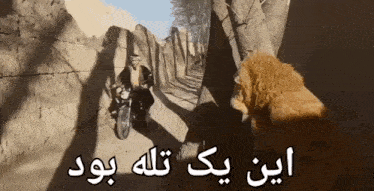 a man is riding a motorcycle next to a lion with arabic writing