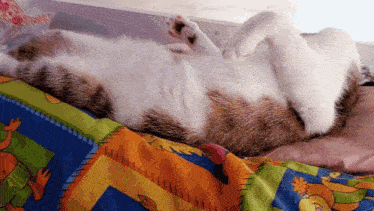 a cat is laying on its back on a bed with a cartoon blanket