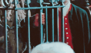 a man in a suit and a red vest is behind bars .