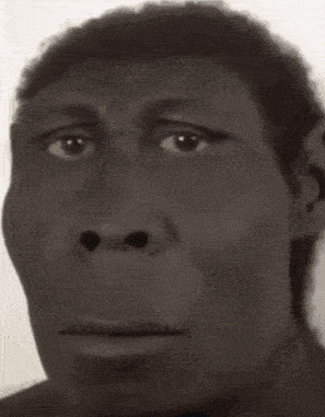 a close up of a man 's face with a blurred background