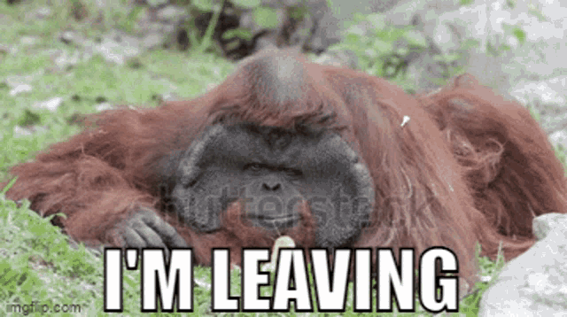 Gort Orangutan GIF - Gort Orangutan Im Leaving GIFs
