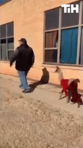 Walking Lets Go GIF - Walking Lets Go Come With Me GIFs