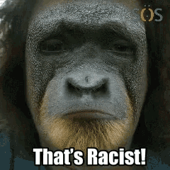 Thats Racist Racist GIF - Thats Racist Racist Sos GIFs