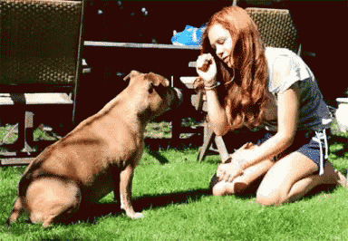 a woman kneeling on the grass with a dog