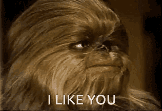 a close up of a chewbacca with the words i like you below him