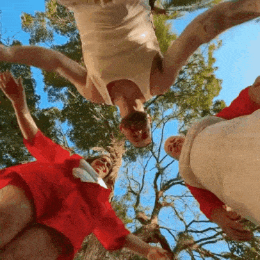 a group of people are standing in a circle and looking up at a tree .
