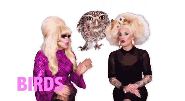 two drag queens are talking to an owl and the word birds is on the bottom right