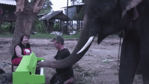 a man is playing a green piano with an elephant behind him
