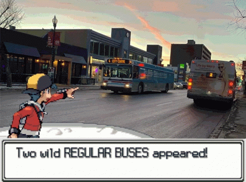 Wild Bus Appeared GIF - Wild Bus Appeared Regular Bus GIFs