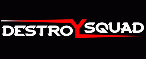 Destroy Destroy Squad GIF - Destroy Destroy Squad Logo GIFs